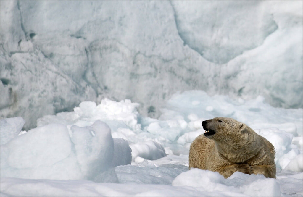 10 idei de aventuri in lumea larga